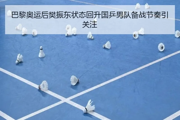 巴黎奥运后樊振东状态回升国乒男队备战节奏引关注 | ANBOSPORTS