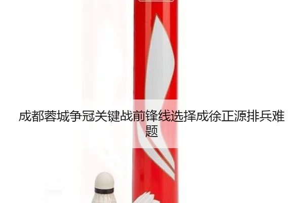 成都蓉城争冠关键战前锋线选择成徐正源排兵难题 | ANBOSPORTS